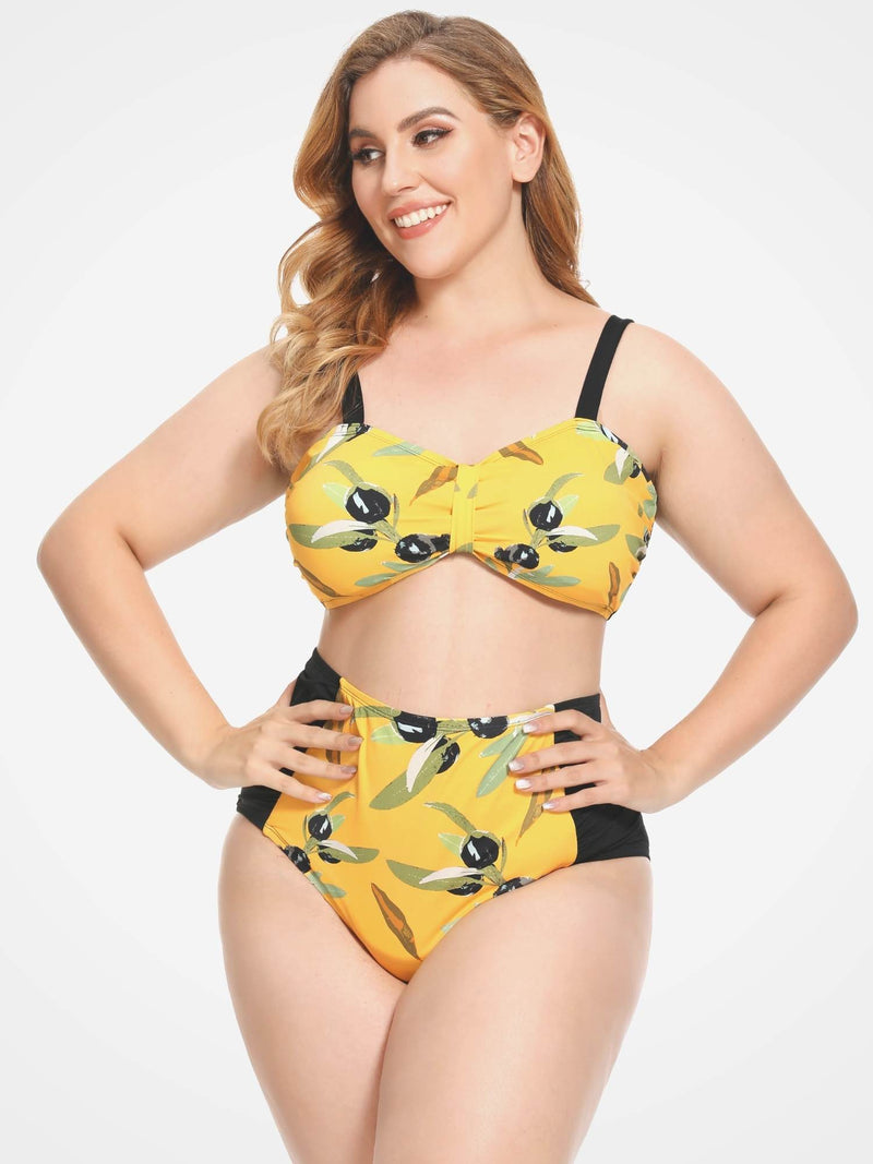 Plus Size Two Piece Swimsuits - AS ROSE RICH